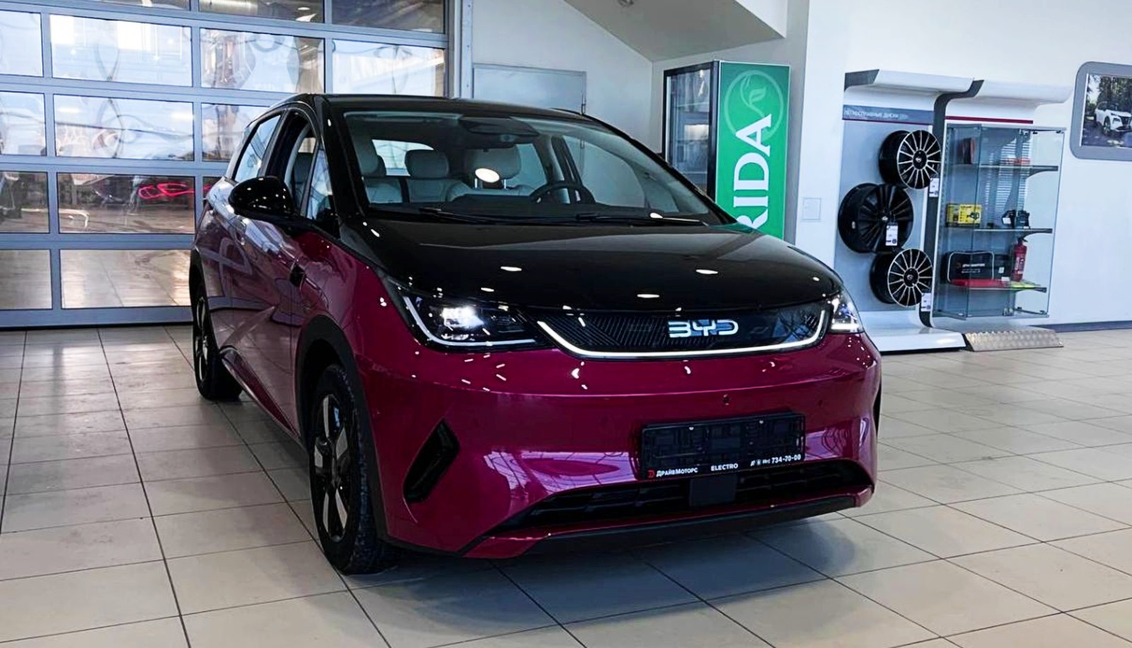BYD Dolphin Fashion 410