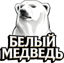Белый медведь 